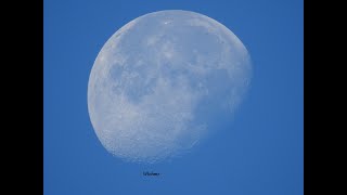 I Captured the moon at 852 am Blue skies [upl. by Parthen602]