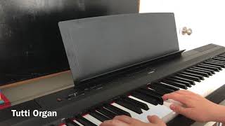 Yamaha P125 Digital Piano  Sound Demo  2020 [upl. by Aimil]