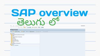 SAP Overview in Telugu Part 1 [upl. by Paresh]