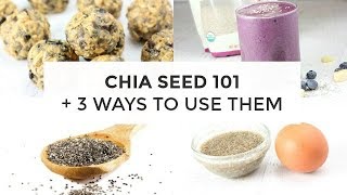 Chia Seed 101  3 Ways To Use Chia Seeds [upl. by Bordiuk416]