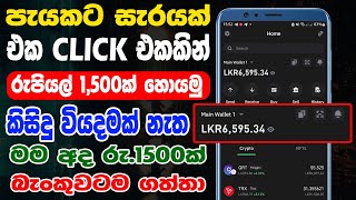 පැයකට රුපියල් 1500ක් හොයමු  Make Dollars From Home  Online job at home  tech podda [upl. by Cazzie]