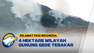 Kebakaran di Gunung Gede Pangrango Berhasil Dipadamkan Setelah Empat Jam [upl. by Ikcin]