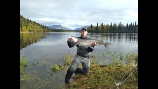 Nov 2023 MSFC Meeting NW AK Sheefish Fishing and Research [upl. by Lincoln]