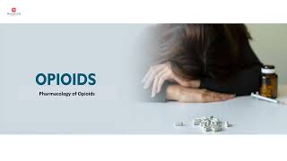 Opioids  Pharmacology of opioids [upl. by Eelime]