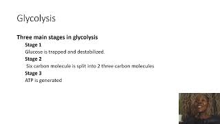 Biochemistry SimplifiedGlycolysis [upl. by Eudosia]