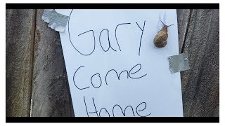 Gary Come Home Music Video LiveAction [upl. by Eehc694]