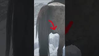 5 INSANE Details in RDR2  pt8 rdr2 shorts [upl. by Erastes804]