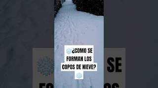 ❄️¿COMO SE FORMAN LOS COPOS DE NIEVE❄️shortsvideo school [upl. by Oirom763]