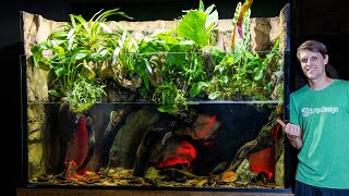 HUGE 350 Gallon Dripwall Paludarium is DONE Build Part 3 [upl. by Maddi]