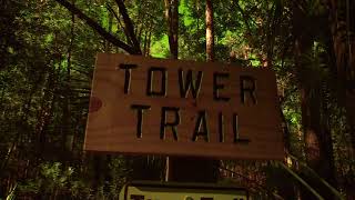 Tillie K Fowler Regional Park in Jacksonville Florida part 1 [upl. by Oiredised]