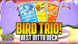 Building the ULTIMATE DITTO Deck【Pokemon TCG Pocket】 [upl. by Loveridge814]