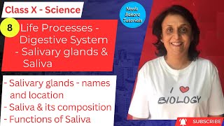 Class X Science  Life Processes  Salivary Glands and Saliva  Neela Bakore Tutorials [upl. by Hterrag]