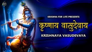 Krishnaya Vasudevaya Haraye Paramatmane  Krishna Mantra  Krishna Flute Music  Krishna Lofi Song [upl. by Eilrac993]