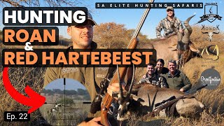 Ultimate Africa Hunting Hunting Roan amp Red Hartebeest [upl. by Rahman]