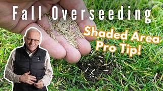 How To Plant Fall Grass Seed  Clever Solution for Shaded Areas Bermuda amp Fescue [upl. by Isnan667]