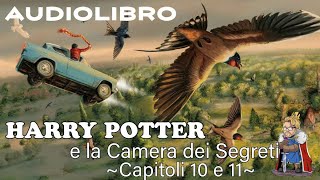 Harry Potter e la camera dei segreti  Lettura e Commento Cap 1011 Audiolibro [upl. by Pandich]