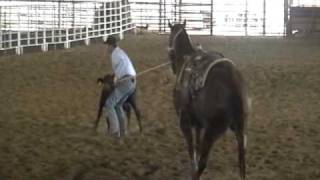 Calf Roping Horses for sale  trained by Jason Hanchey [upl. by Asiluy]