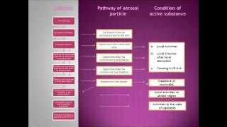 Study of Biopharmacy in Intrapulmonary route [upl. by Odlamur]