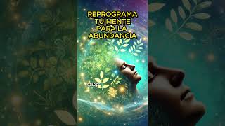 Meditación para Reprogramar el Subconsciente para la Abundancia Meditación ReprogramaciónMental [upl. by Aimek]