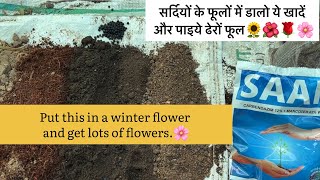 Best Soil Mix and fertiliser for Winter Plants and FlowersGardening Tips By Aryan [upl. by Kabob710]