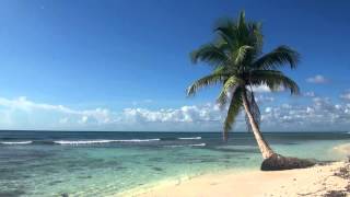 ♥♥ Relaxing 3 Hour Video of Tropical Beach with Blue Sky White Sand and Palm Tree [upl. by Yeldnarb648]