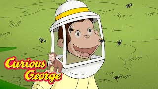 George the Beekeeper 🐵 Curious George 🐵 Kids Cartoon 🐵 Kids Movies [upl. by Anaj]