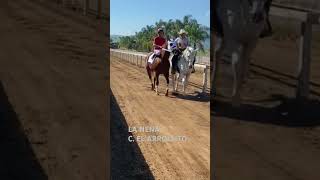 Carreras de caballos de Mexico solo para los carrereros de Mexico 🇲🇽🏇🏇🏇🏇🏇🏇🐴🐎 [upl. by Haeckel]