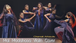 Mal Madahasa Violin Cover  Chamali Athauda malmadahasa violincover bns sgmtunes [upl. by Cissej]