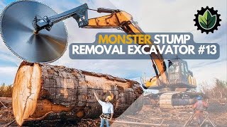 Extreme Dangerous Fastest Big Chainsaw Cutting Tree Machines  Monster Stump Removal Excavator 13 [upl. by Joan173]