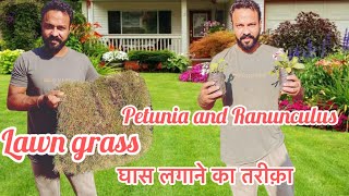 Gardening Vlogघास को लगाने का काम।नर्सरी से नए पौधे।Gardening winterflowers Lawngrassvlog [upl. by Gromme]