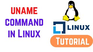 uname command in Linux with examples  How to Use Linux uname Command [upl. by Retrop]