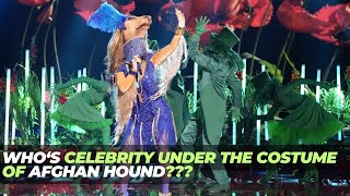 Who‘s the Celebrity Under the Costume of Afghan Hound [upl. by Carlyle]