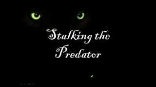 W06 Stalking The Predator Webinar Trailer [upl. by Joyce]