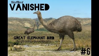 VANISHED Episode 6 Great Elephant Bird Aepyornis maximus [upl. by Palma426]