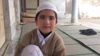 God Gifted Talent of pakistani Kid  Amazing Quran Recitation imitates Abdul Basit Subscribe [upl. by Illac832]