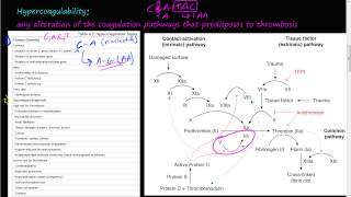 55P  Virchows triad Hypercoagulability Mutation in factor V and prothrombin genes [upl. by Ellekim359]