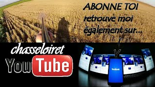 chasse aux lapins en solognesaison 20152016avec bonus [upl. by Ogait]