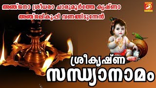 ശ്രീ കൃഷ്‌ണ സന്ധ്യാനാമം  Sandya Namagal Malayalam  Sree Krishna Devotional Songs Malayalam [upl. by Casteel]