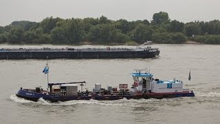 Scheepvaart op de Rijn  Shipspotting on the Rhine  Tolkamer  Europakade  vracht cargo  HD [upl. by Nosyaj]