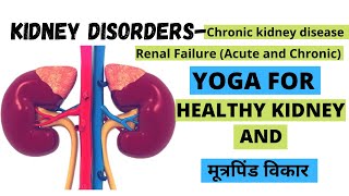 Kidney Disorders  Causes Treatment By Yoga  मूत्रपिंड के लिए योग एवं उपचार  क्या करे क्या नहीं [upl. by Sitruk]