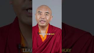 No mistakes no success motivation meditation buddhistmonk success inspiration [upl. by Peedus]