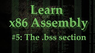 Assembly 5 The bss section [upl. by Niloc]