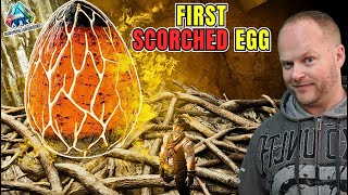 Did I just get super Lucky Wyvern egg Steal  Scorched Earth [upl. by Tail]