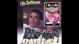 Los Toros Band  Alegre Gozamba 1990 [upl. by Boys]