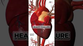 heart failure medical animation 3d short BiologywithAliya [upl. by Chouest]