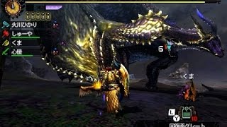 【MH4G実況】 友達とモンハン4G vsゴア・マガラ Part27 [upl. by Elumas722]