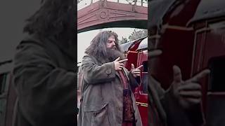 How Often Hagrid Was FAKE in Harry Potter [upl. by Aihsenyt]