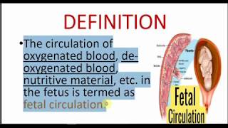 FETAL CIRCULATION  FETOPLACENTAL CIRCULATION [upl. by Brita]