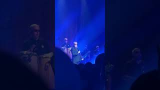 Madness “If I Go Mad” at Hammerstein Ballroom on 30th May 2024 Live [upl. by Malory421]