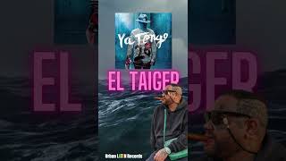 El Taiger  Ya tengo 28 eltaiger taiger reggaetoncubano cubaton musica [upl. by Vanni159]